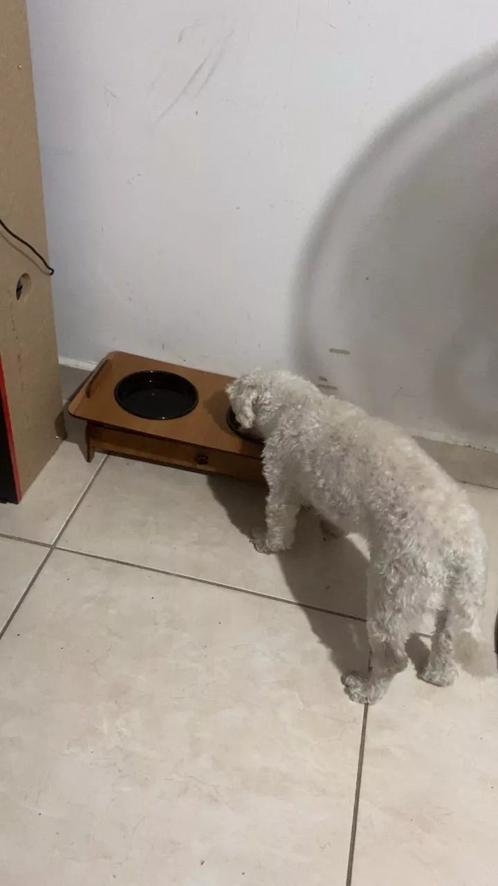 🐾✨ Conforto e Praticidade para Seu Pet ✨🐾