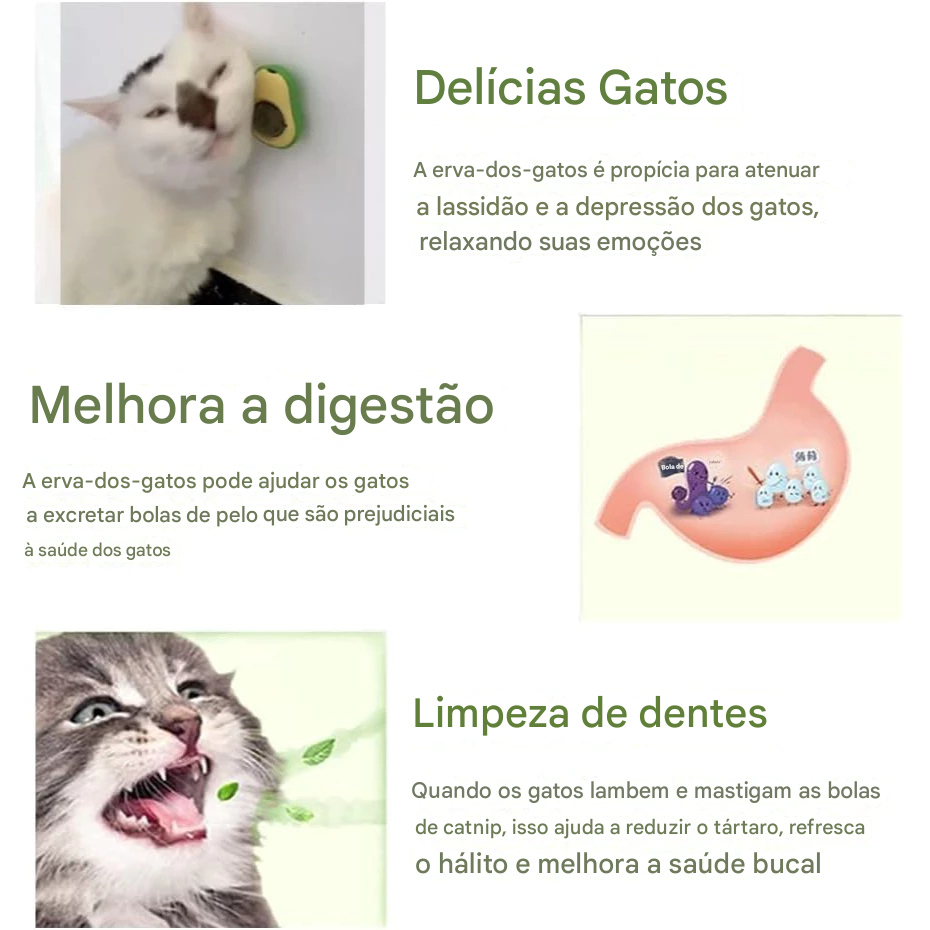 Abacate Brinquedo para Gatos com Catnip 🥑🐾